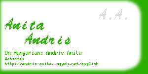 anita andris business card